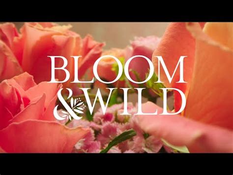 Bloom and wild careers com, the worlds largest job site