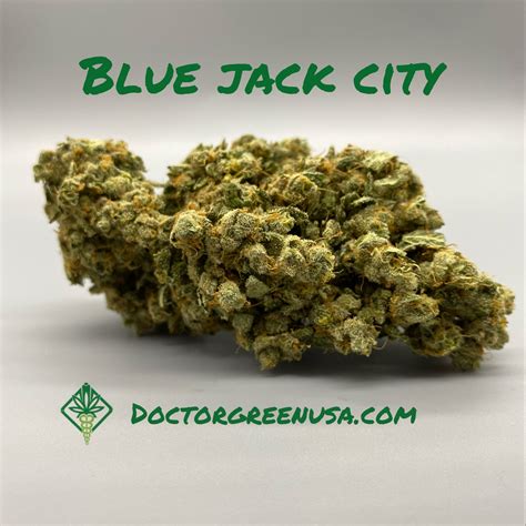 Blue jack city  Blueberry Jack, or Blue Jack for short, has a moderate THC level of