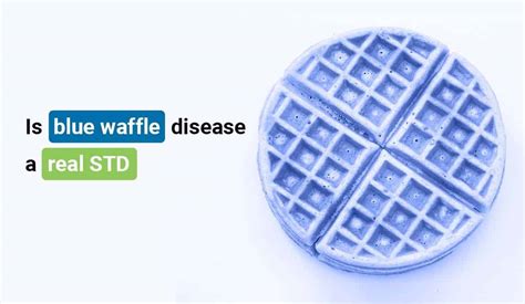 Blue waffle disease image Blue waffle disease started prevailing online around 2010 with a disturbing image out an pus-covered bluish lesion in which labia