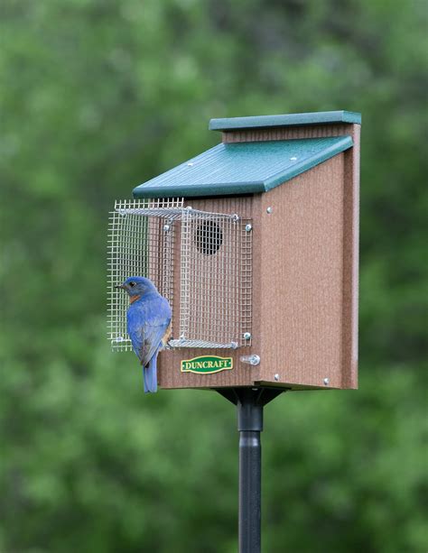 Bluebird house with skylight  The minimum height to install the bluebird house is at least 5′ from the ground