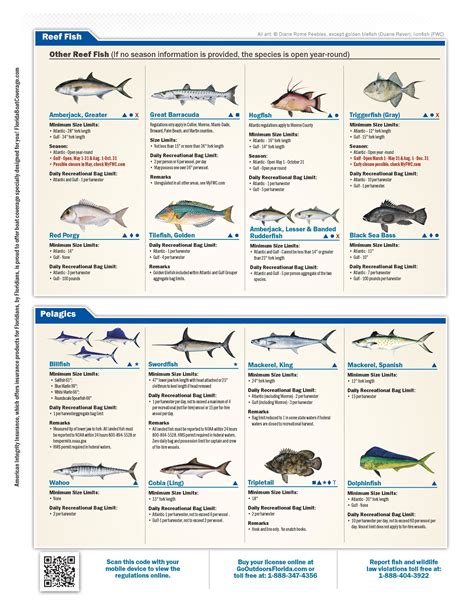 Bluefish size limit florida FWC, fish limits, lengths, size, laws and policy regarding large-mouth bass, crappie, bluegill on lake Okeechobee