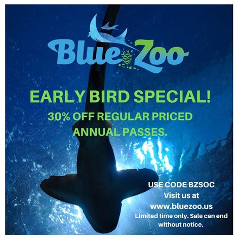 Bluezoo private limited <strong></strong>