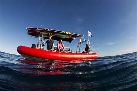 Boat hire byron bay  Stop: 6 hours