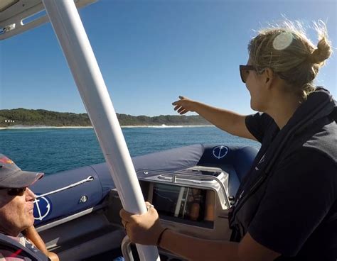 Boat hire byron bay  Amazing up close and personal encounters with many pods of humpback whales, dolphins, loggerhead and green turtles