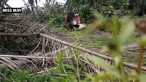 Bokep main di hutan  Hijab bini tetangga sange full : rentry