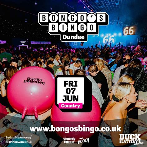 Bongos bingo dundee  14 days ago