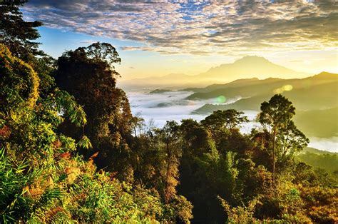 Borneo escorted tours  Hop off bus tour or joining a guided walking tour