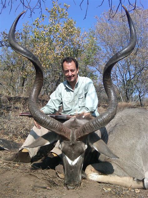 Bosveld kudu near me 