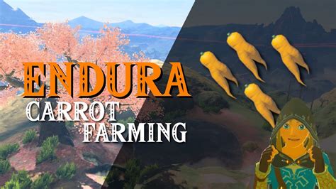 Botw endura carrot farming The woods above the shrine at Kakariko are good for foraging and there’s apples and snails in the village