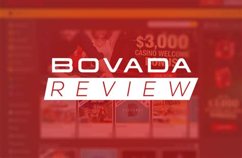 Bovada preakness How to Bet on The Preakness Stakes in Michigan