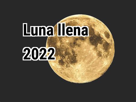 Brothersisterpon - 2024 Brazzere3x Luna 10:22. - jetres.online Unbearable awareness is