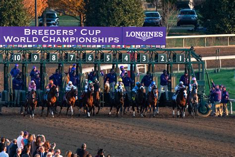 Breeders cup 2022  The best of the best have lined up for this year's Breeders' Cup Classic