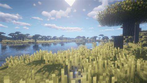 Bsl shaders 1.16.5  Shaders are modifications that change the way the game’s graphics are