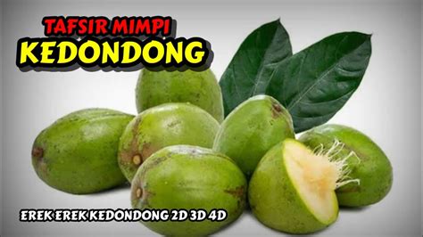 Buah kedondong 2d Demikian pembahasan tentang Kode Alam Di Kasih Buah Belimbing Sama Tetangga 2D 3D 4D di Buku Mimpi yang dapat kami sampaikan untuk Anda