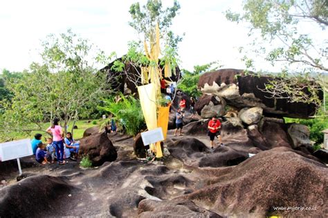 Bukit batu palangkaraya COM, PALANGKARAYA - Sarang Tawon di atas pohon bikin Resah warga sekitar SMAN 6 Bukit Batu Palangkaraya, Petugas Damkar bantu lakukan pemusnahan