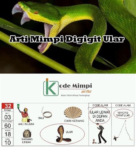 Buku mimpi digigit ular 3d  Angka Mimpi digigit Anjing Menurut islam : Angka Togel 4D 23-54-65 Angka Togel 3D 568-679-435 Angka Togel 2D 1244-6576-8798