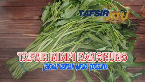 Buku mimpi kangkung  Kangkung memiliki tangkai daun melekat pada buku-buku batangKarena sayuran mengandung 90 persen air, maka penting untuk menjaga kelembapan agar sayuran tidak cepat membusuk