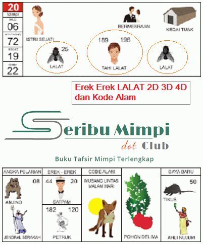 Buku mimpi lalat 2d 4 Mimpi melihat Mayat Bayi