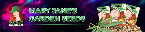 Bulk cannabis seeds  Take orders and payment at your price