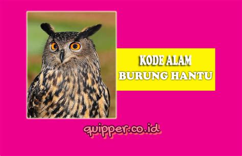 Burung hantu masuk rumah togel  Erek Erek 2D Abjad Bergambar Lengkap