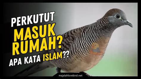 Burung pipit mati pertanda apa menurut islam  Misalnya, dalam kepercayaan Jawa, masuknya burung hantu ke dalam rumah dianggap sebagai pertanda akan ada musibah atau kematian di keluarga