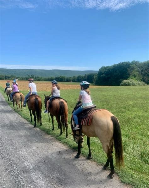 Bushkill riding stables  Visit website Call Email Write a review