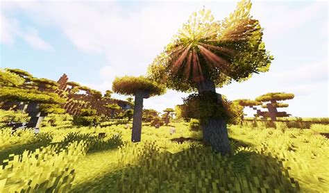 Bushy leaves 1.12.2 5k 796 14