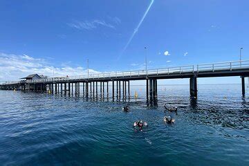 Busselton jetty  Busselton Water Temperature