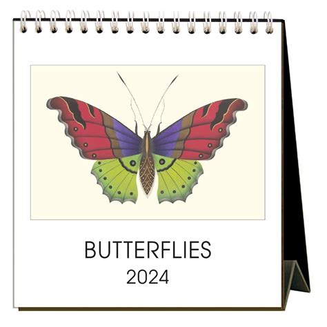 Butterfly 73  The difference in strike prices between the long and short options creates a “wingspan