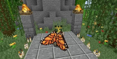 Butterfly elytra texture pack  16x Resolution