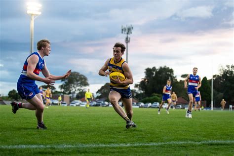 Caiden cleary vfl  Croft