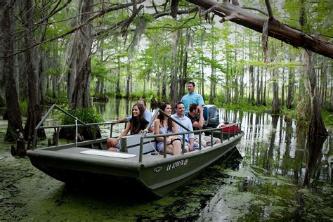 Cajun tours  Let your tour guide share insider information on some of the native creatures and vegetation