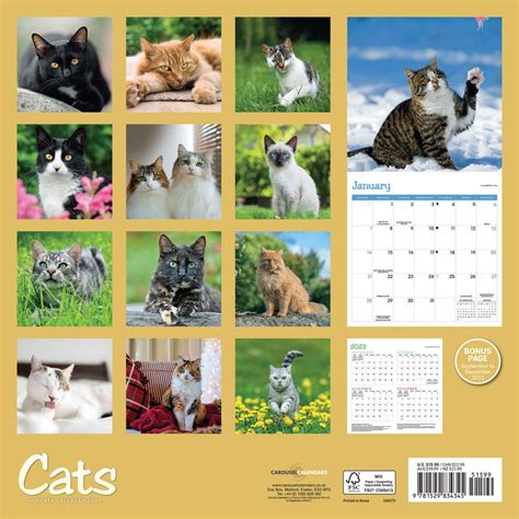 2024 Calendar Cats