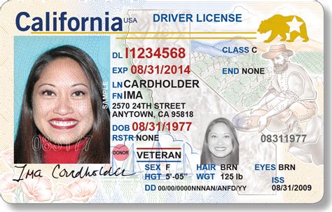 ID Card Maker: Create a Custom ID Card Online for Free