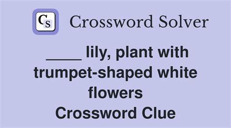 Calla lily family crossword  ARACEAE: Calla Lily (7) ODESSA: A calla lily with purple-black flowers named after a Ukrainian seaport (6) LILY:Answers for calla lily or taro, e