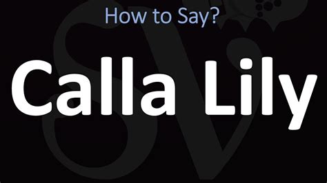 Calla lily pronunciation  Listen to the audio pronunciation in English