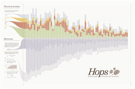 Callista hops profile Dj Roomba W/German Callista Hops