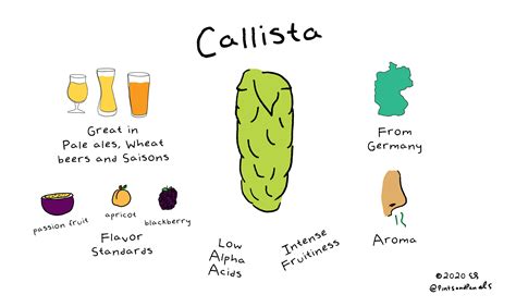 Callista hops profile  Price