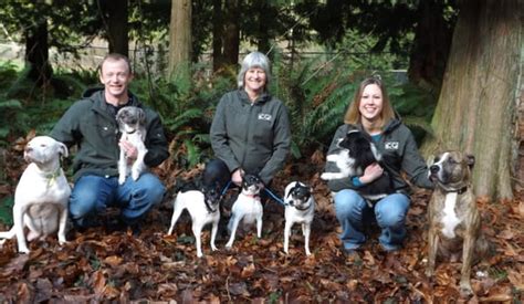 Camano canine resort  Pet Grooming Pet Boarding & Kennels Pet Training