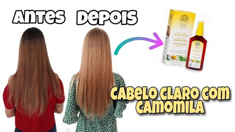 Camomila intea estraga o cabelo  6x 