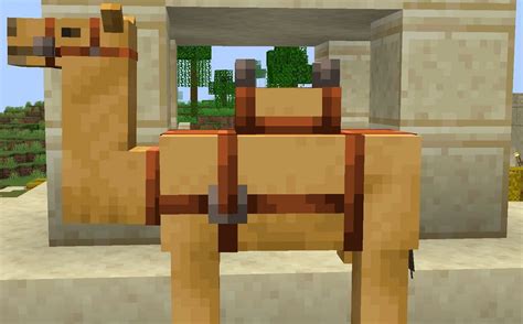 Can camels carry chests in minecraft  In this IGN guide, we'll detail everything you'll need to know about