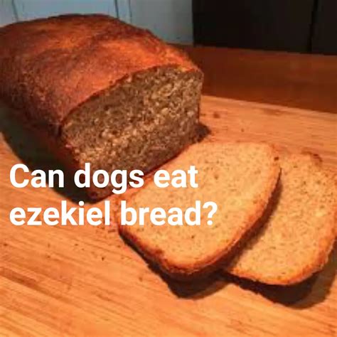 Can dogs eat ezekiel bread  Improves Digestion