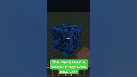 Can you break a shulker box with your fist  Add Items to make White Shulker Box