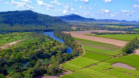 Cane farms for sale mackay 57 properties for sale in Pleystowe, QLD 4741