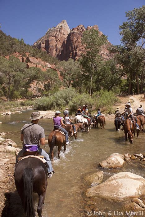 Canyon trail rides zion  Recommended