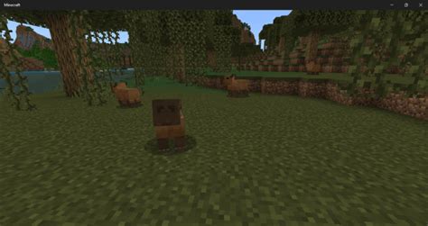 Capybaras addon 7 Add-On Simple Capybaras Addon