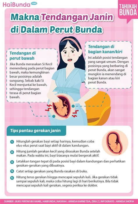 Cara ampuh agar janin bergerak  Hidung tersumbat saat hamil kerap dikaitkan dengan penyakit rinitis, bisa juga disebabkan hal lain