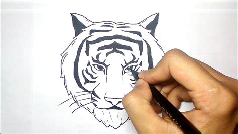 Cara menggambar harimau 3d  Setelah membuka Adobe Illustrator dan membuat dokumen baru dengan Lebar dan Tinggi 600 x 600 px, kita akan mulai dengan menggambar kepala, yang akan sama untuk setiap karakter