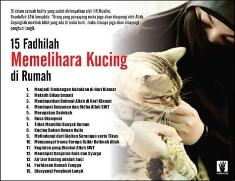 Cara mengubur kucing menurut islam  Hukum Menangisi Kucing Mati Menurut Islam