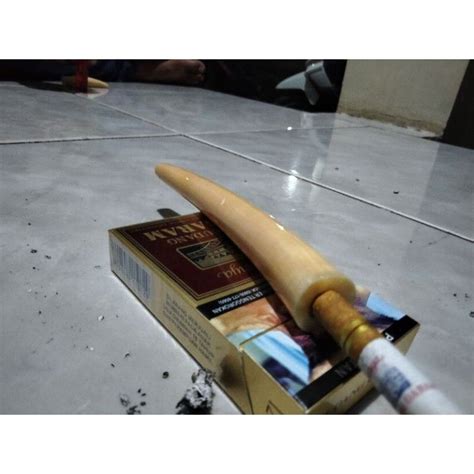 Cara merawat pipa rokok iga duyung  Jember - Blibli